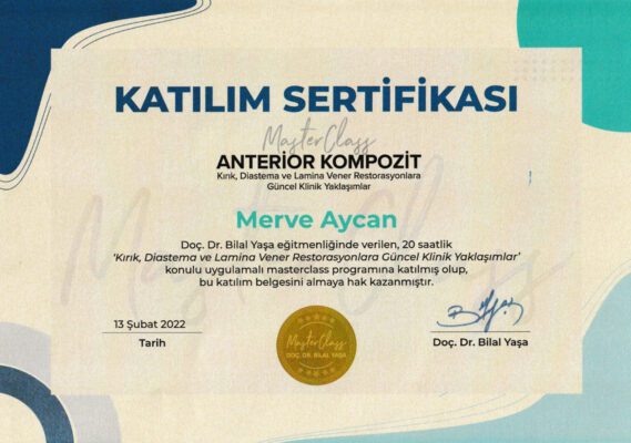 merve aycan sertifika 13